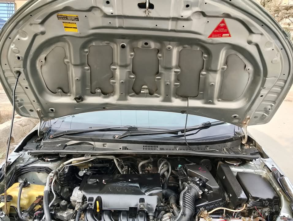 Toyota Gli 2015/16