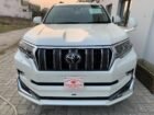 Toyota Prado TXL 2019/24