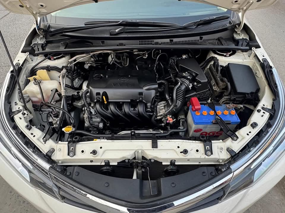 Toyota Gli 2019 Auto