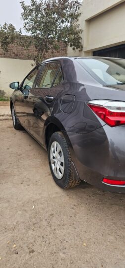 Toyota Gli auto 2019
