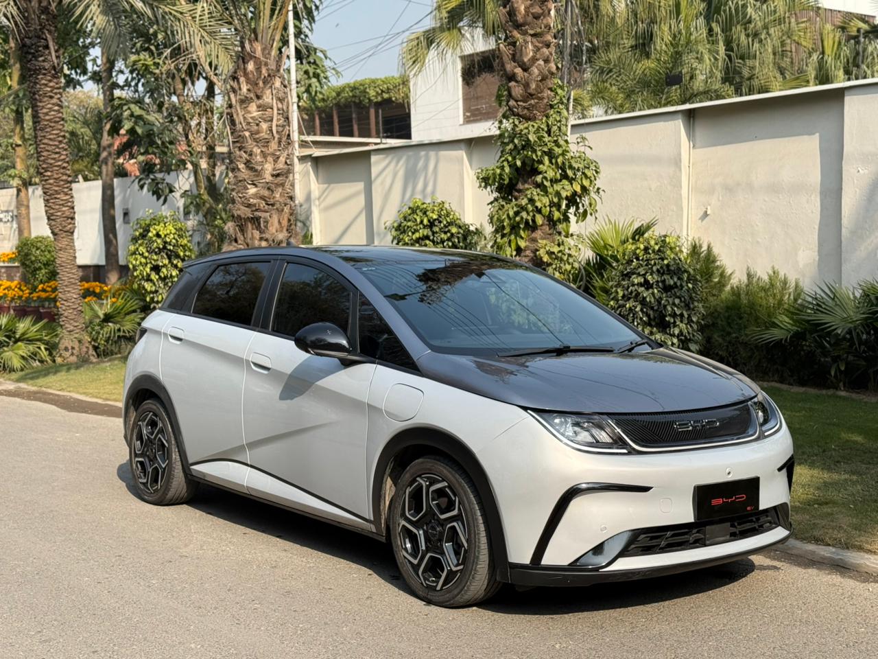 BYD Dolphin Premium 2023/24