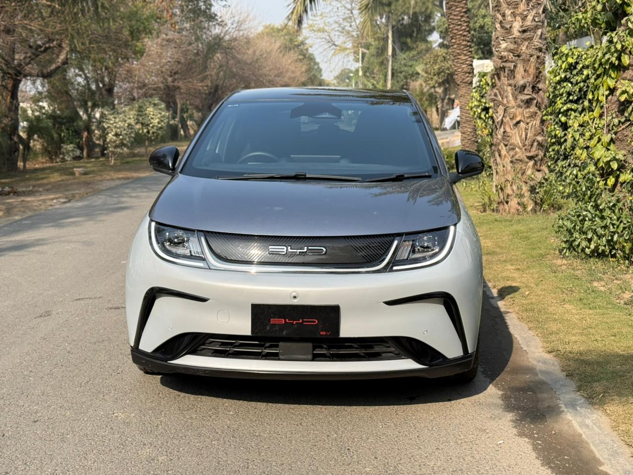 BYD Dolphin Premium 2023/24