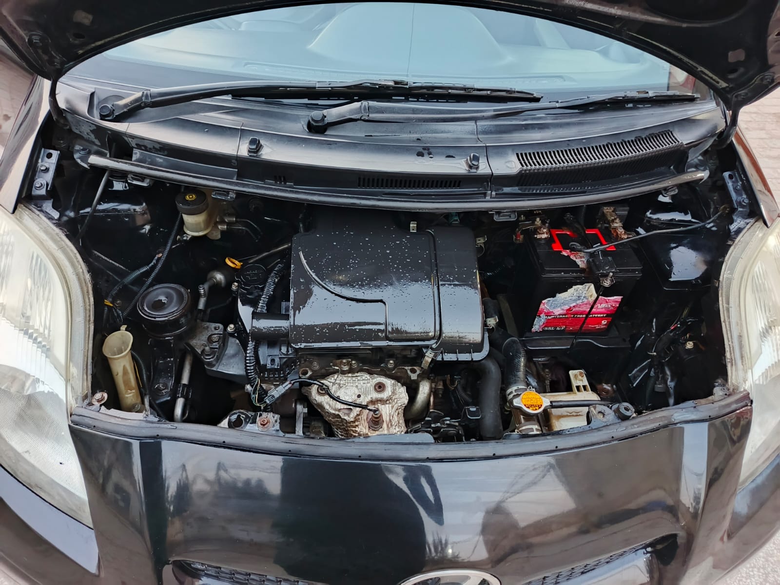 Toyota Vitz 2008/12